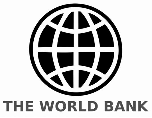 Blog 23: The International Monetary Fund and The World Bank: A Historical Overview and Controversial Moments