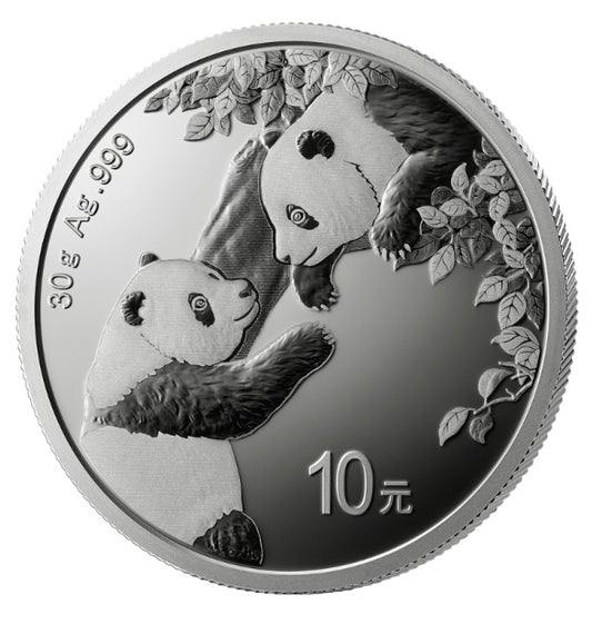 Silver Panda Coin - 30 grams - 2023